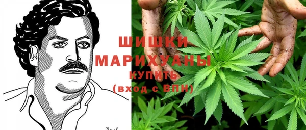 ГАЛЛЮЦИНОГЕННЫЕ ГРИБЫ Алексеевка