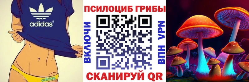 Галлюциногенные грибы Psilocybe  Любань 